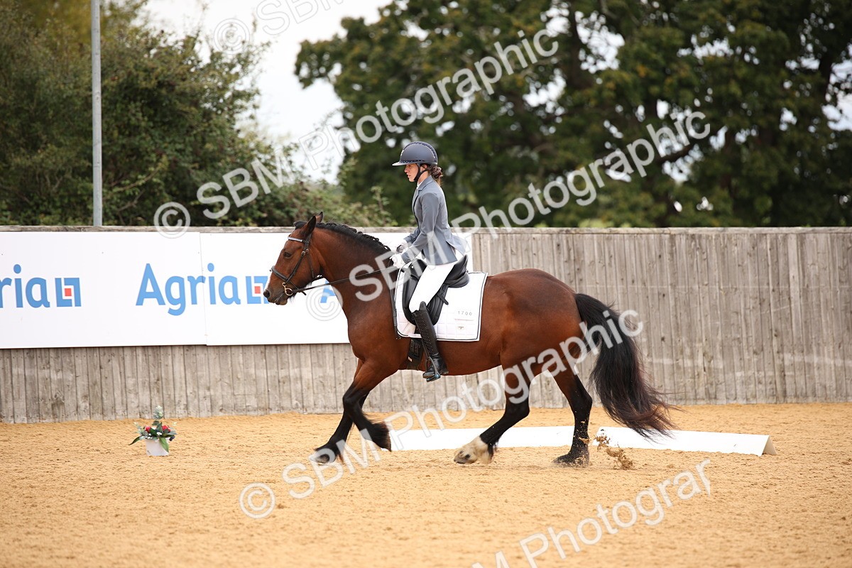SBM_09119 - D8 Small Tour Championship Prelim 7