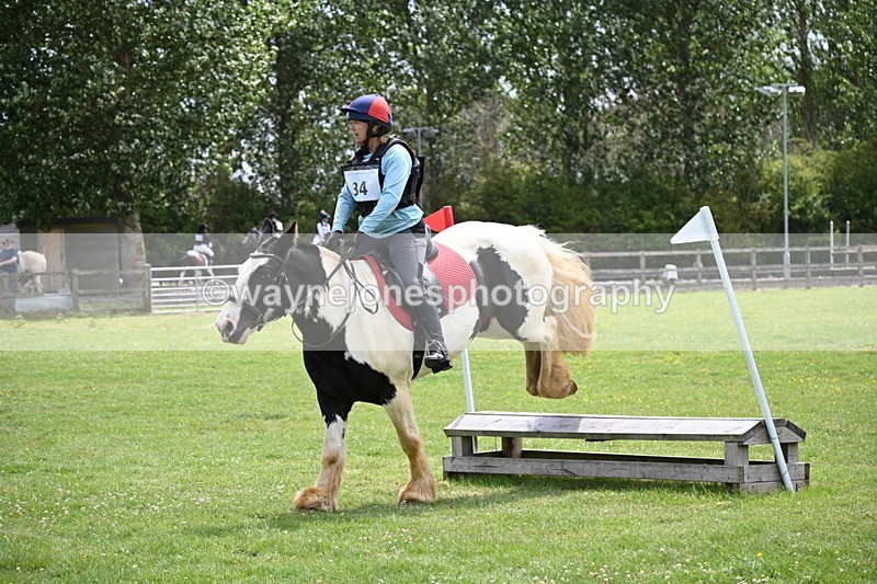 WJ6_3488 - Class 4 60cm