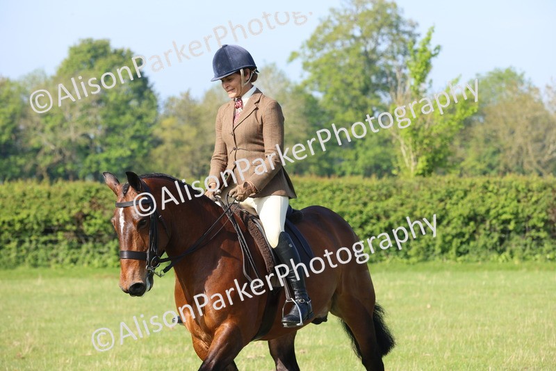 20250427-0513 - Class 17 - Novice Showing