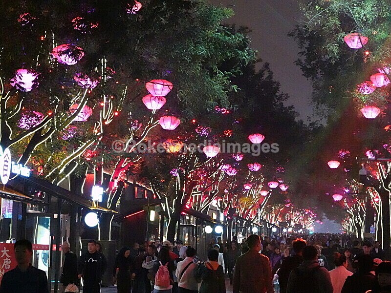 CHINA__0816 - China 2019