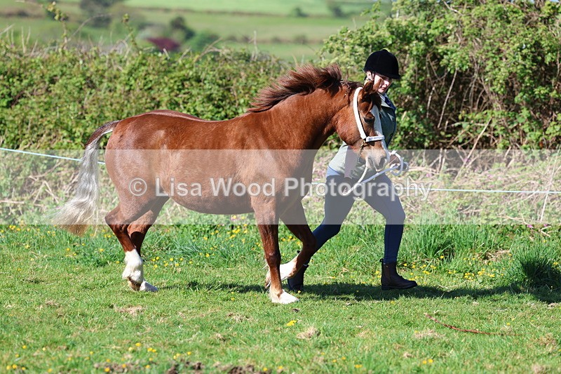 3E7A8547 - Class 13: M & M Large Breeds