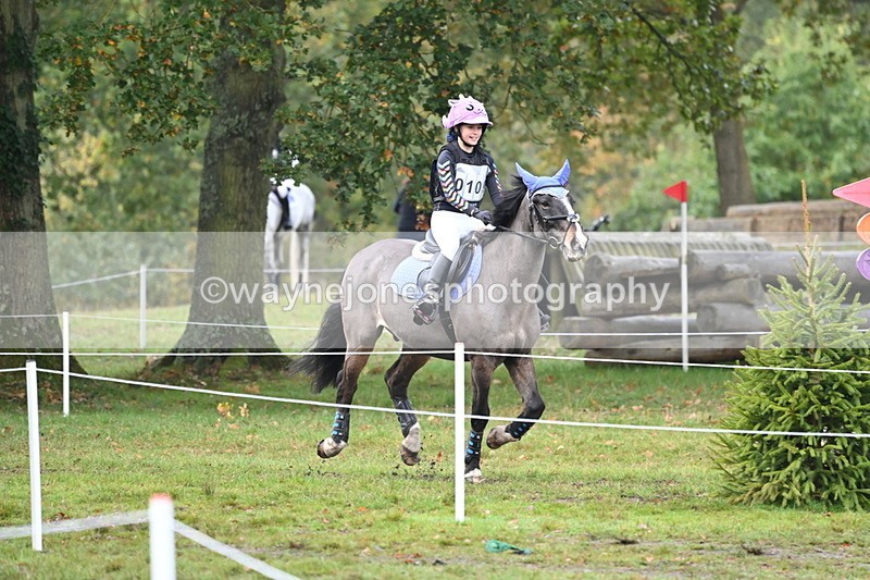 WJ6_1737 - 80cm Cam 1 Time 10:08 to 10:45