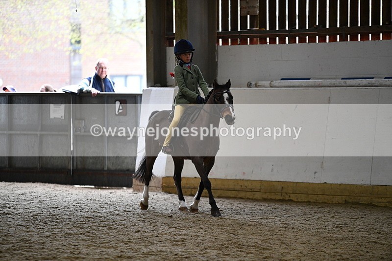 WJ5_6834 - Class 10 Childs Pony