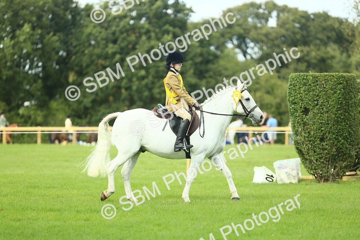 SBM_44858 - Working Hunter Pony Supreme Championship