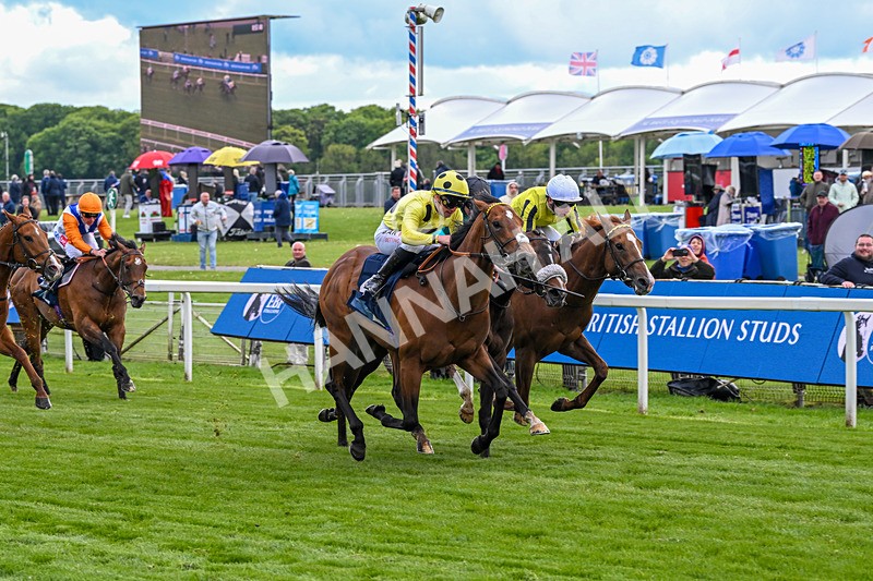 140526-Race 6-Dickensian-5806 - Race 6 4.40pm British Stallion Studs EBF Westow Stakes