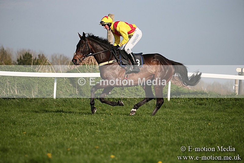 PtP 210418 550 - South & West Wilts Point-to-Point Larkhill 21/04/18