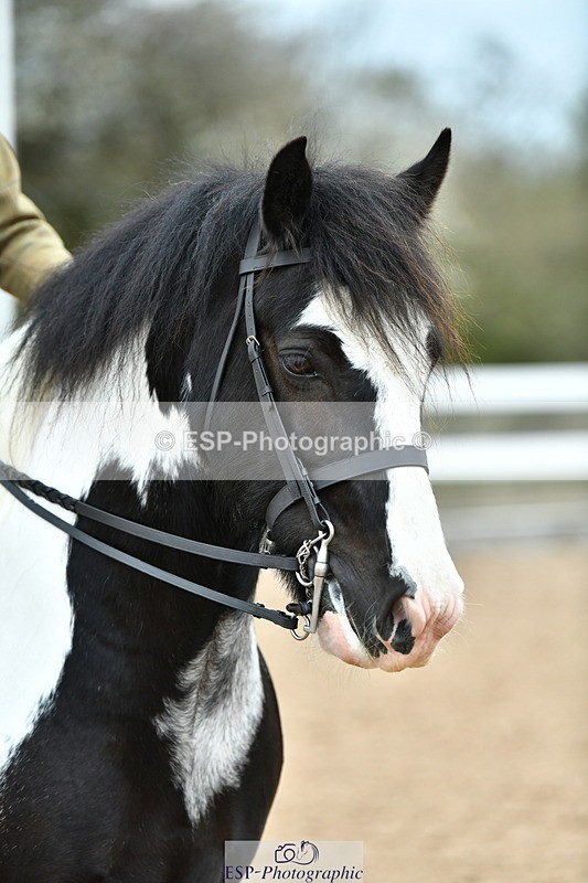 230416A-120120-04277 - Cls 72+73+69 Welsh, Trad Cob and Foreign