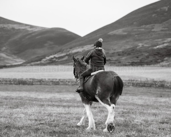 Dionne-113 - DGClydesdales
