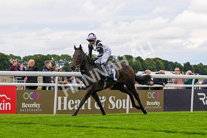160724-Race 1-Coto De Caza-8246 - Race 1