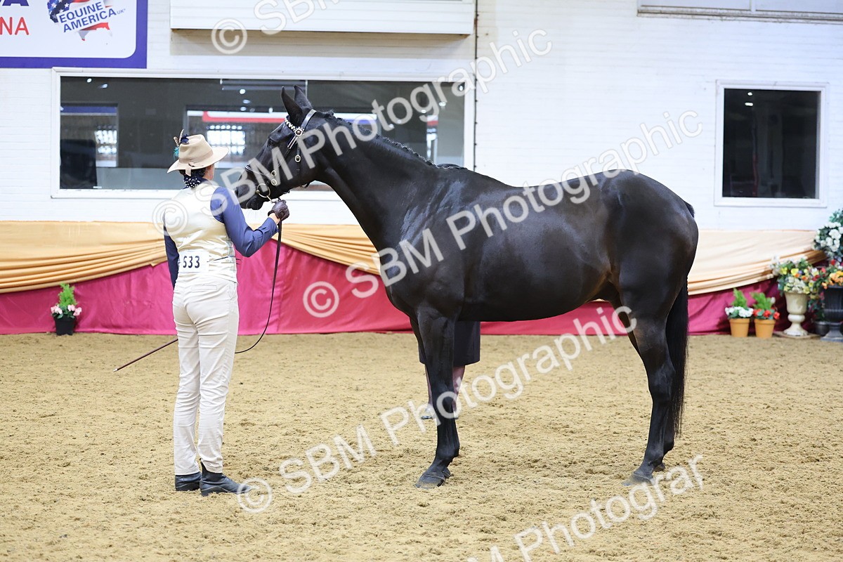 SBM_20862 - Class 902 - Supreme Final IH Veteran