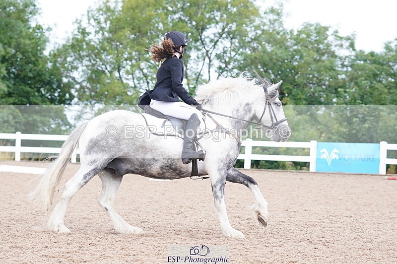 240809A-101918-00485 - Dressage Competition