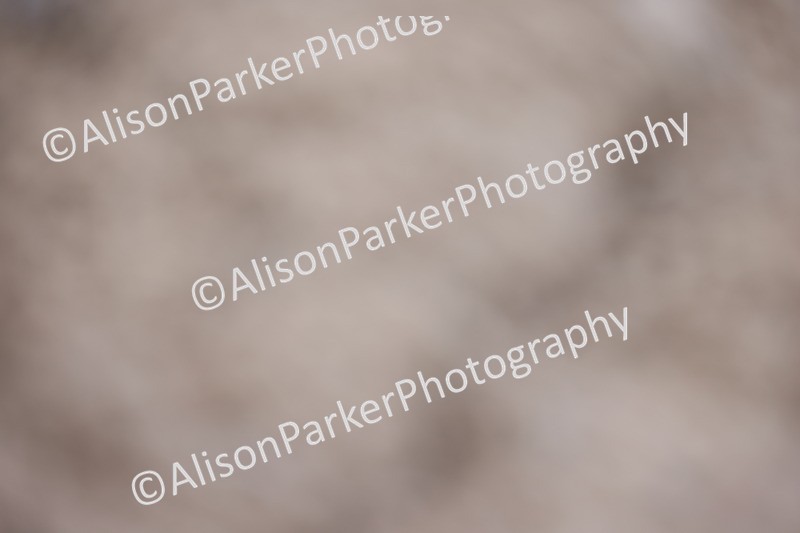 20260228-0887 - Class 6 - Novice 3