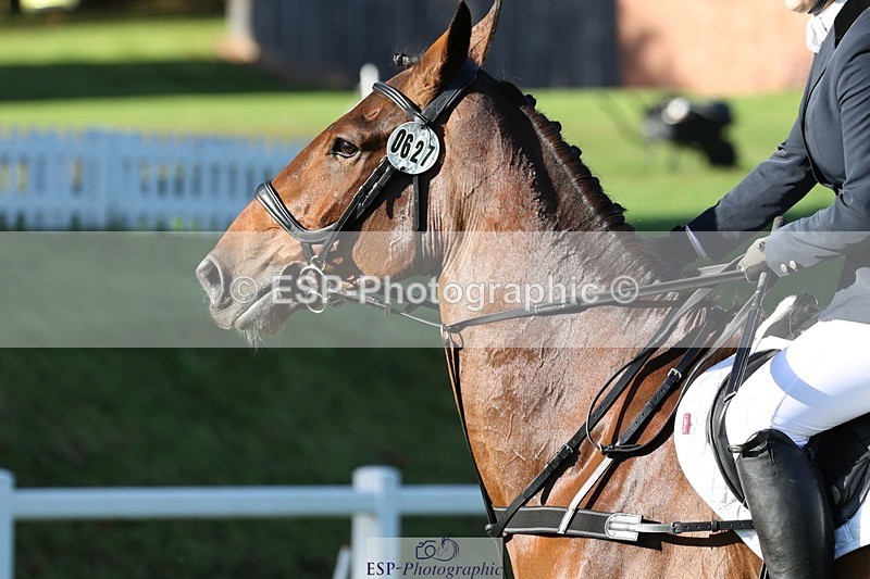 231022-102632-24530 - 627-UNNAMED.(815881)-Pollyanne.Adams-TrotUp+SJ