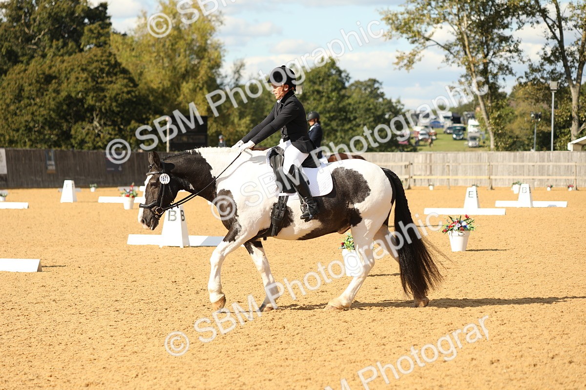 SBM_26720 - D17 - Grand Tour Championship - Novice 27