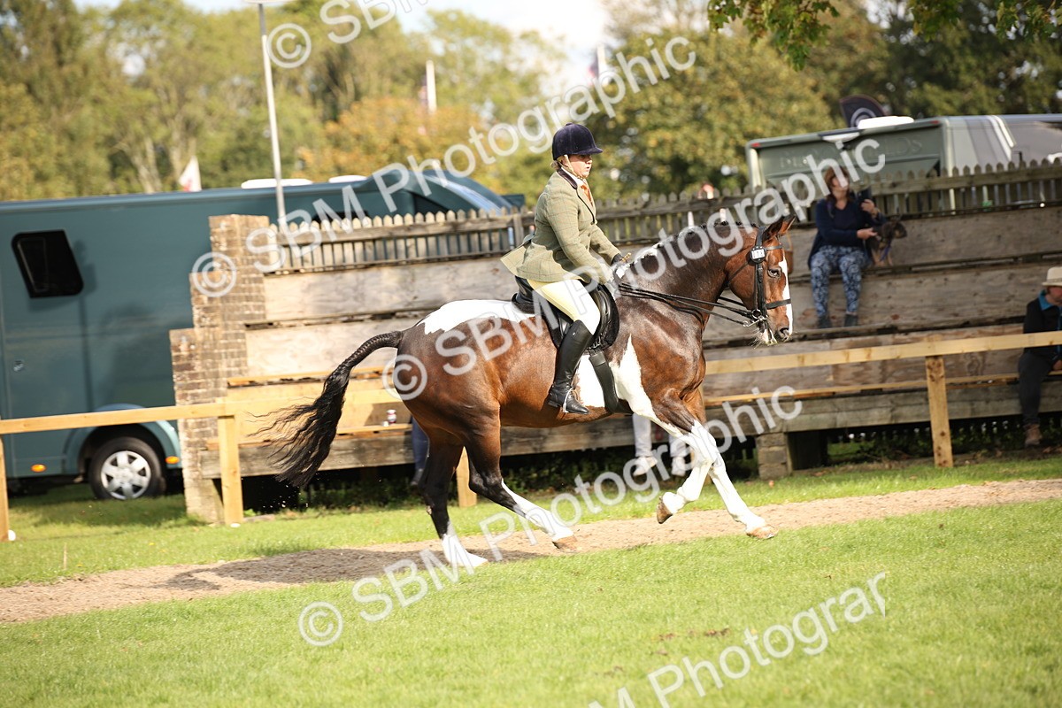 SBM_50176 - S26 - Young Veteran - Ridden