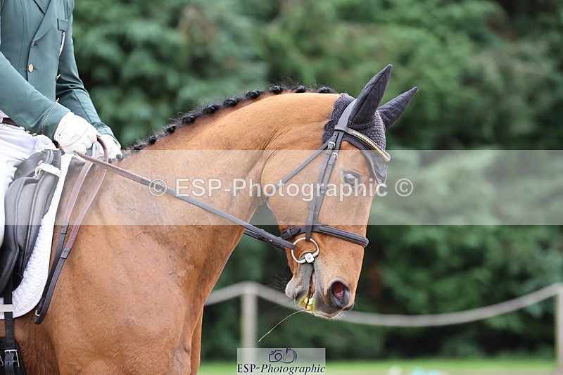 241024-152715-04836 - 233-Padraig.Mccarthy-LADY.OPHELIA