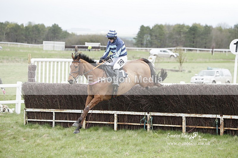 PtP 260323 0515 - New Forest Hounds Point-to-Point Larkhill 26/03/23