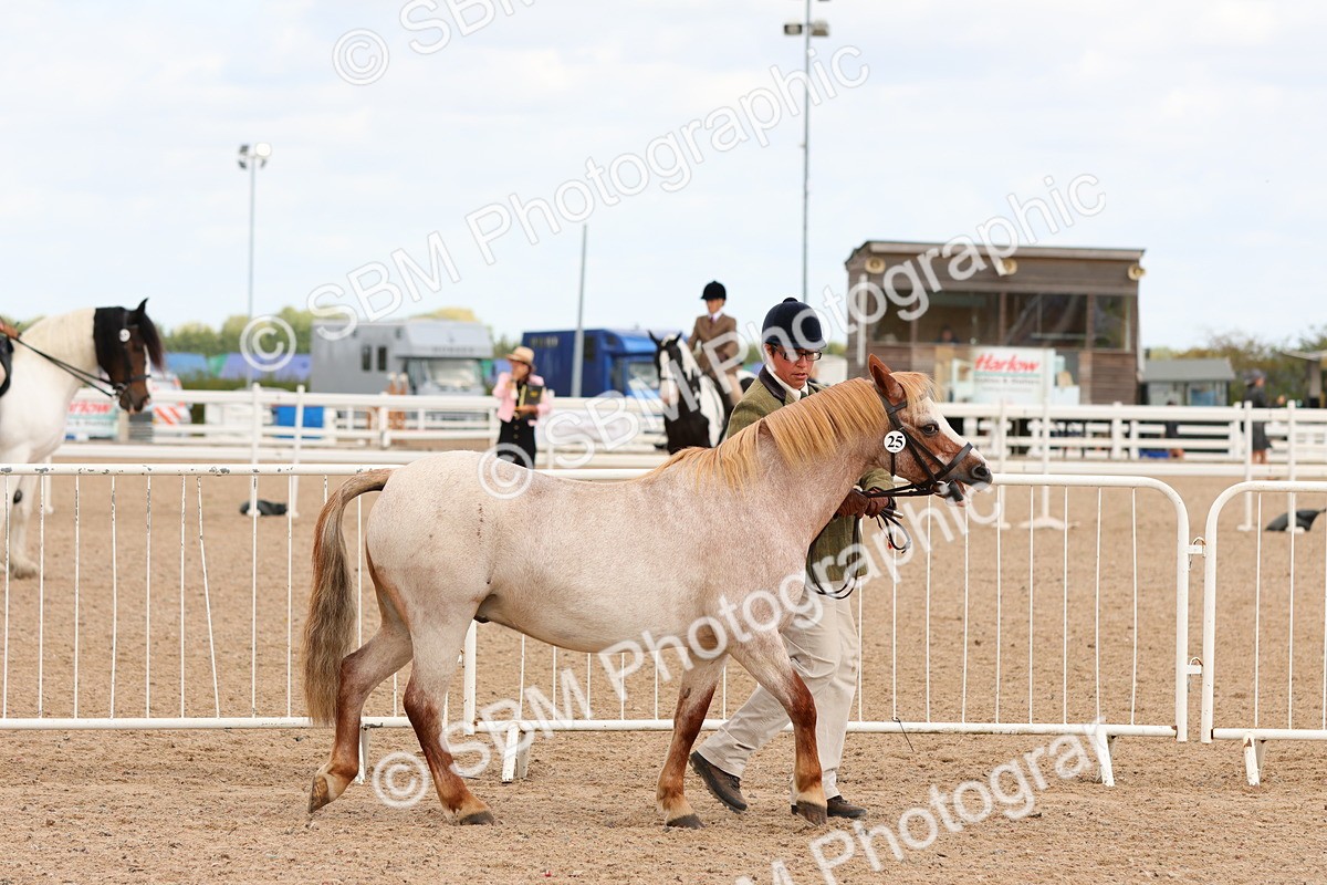 SBM_11935 - Class 209 - IH Veteran Pony