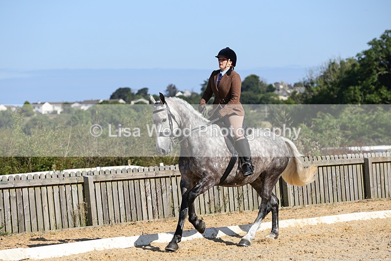 1X9A7785 - Class 9: Open Ridden Hunter