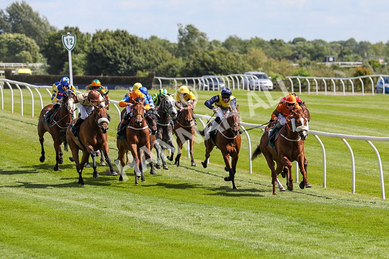 080624-Race 3-Without Delay-4704 - Race 3