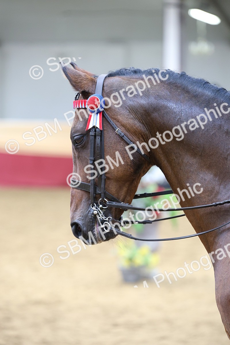 SBM_24070 - Class 905 - Supreme Final - Ridden Veteran