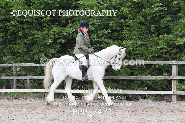 BPP_7471 - RING 1  (RIDDEN HORSES / IN HAND / VETERAN ETC)