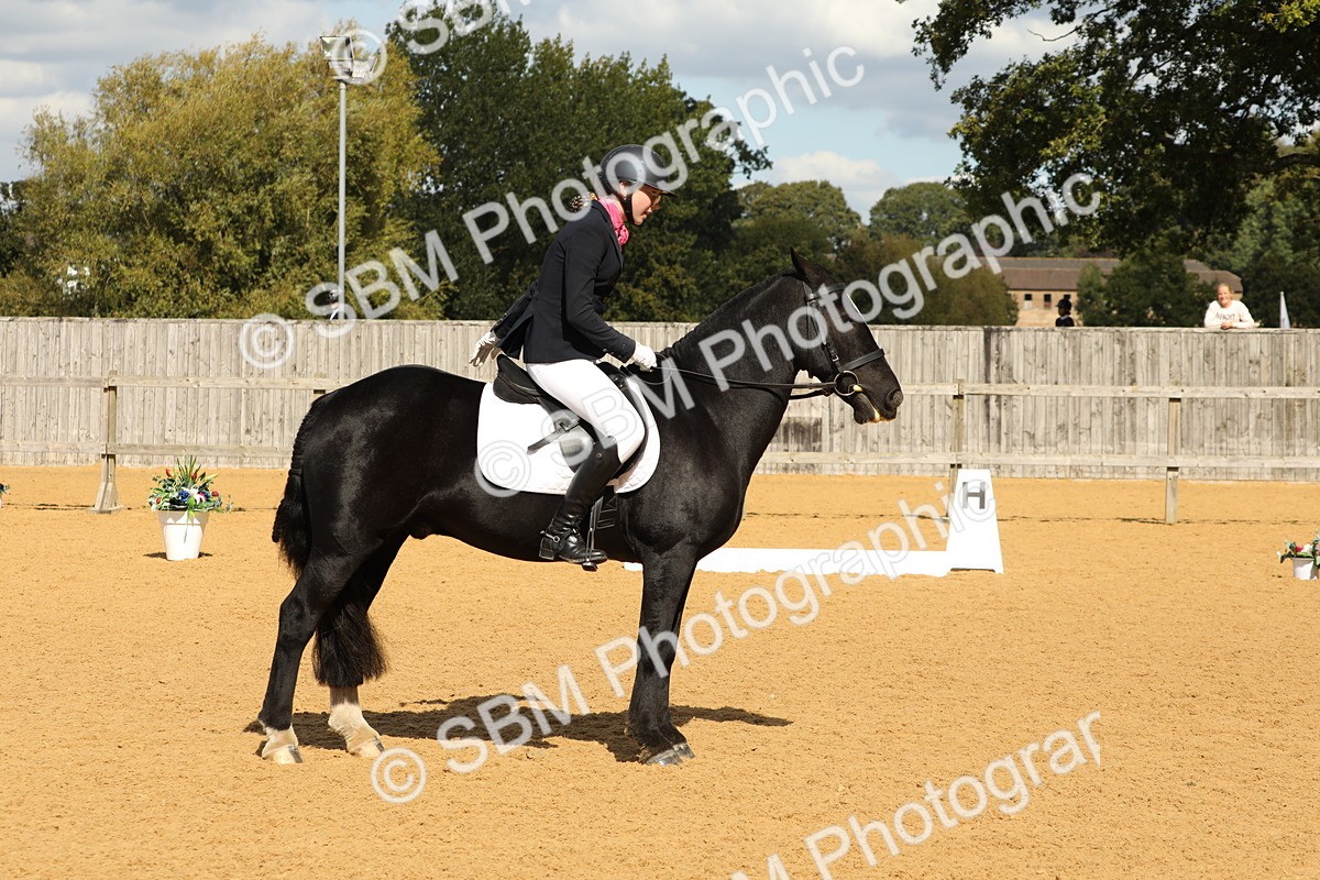 SBM_41950 - D21 - Junior Championship - Intro A