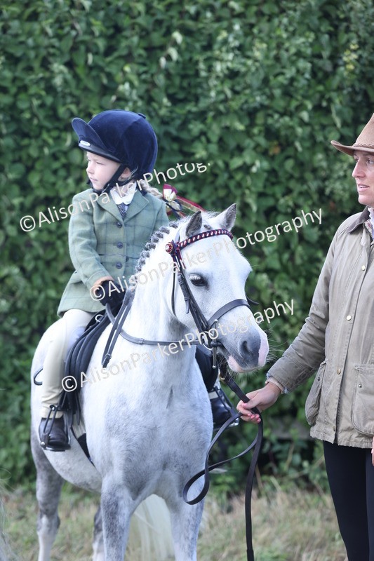 20250831-2702 - Class 17 - Lead Rein Pony