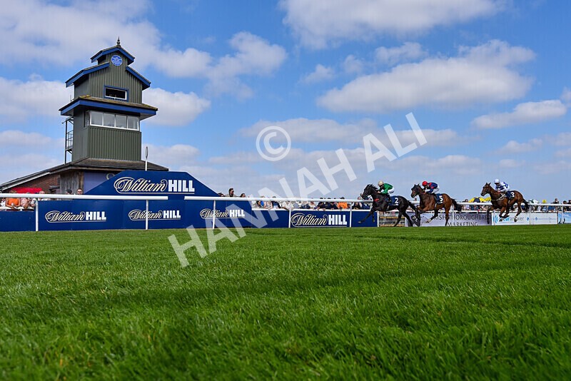 310824-Race 1-Quietness-5822 - Race 1