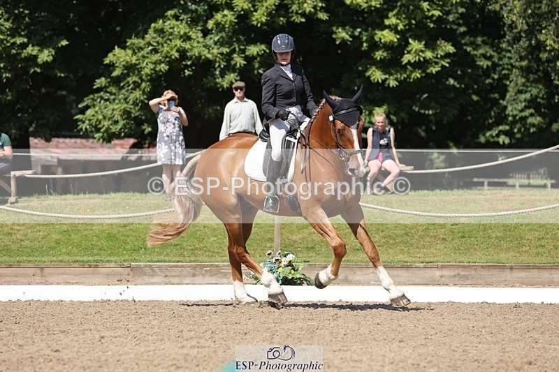 240719-103907-00756 - 223-Deborah_Randall-Sandy's_Bertie