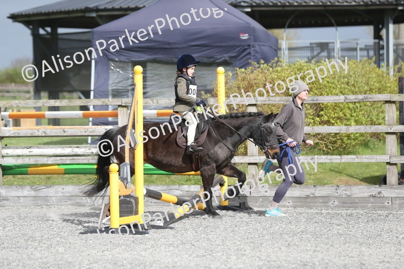 20260412-0128 - Show Jumping