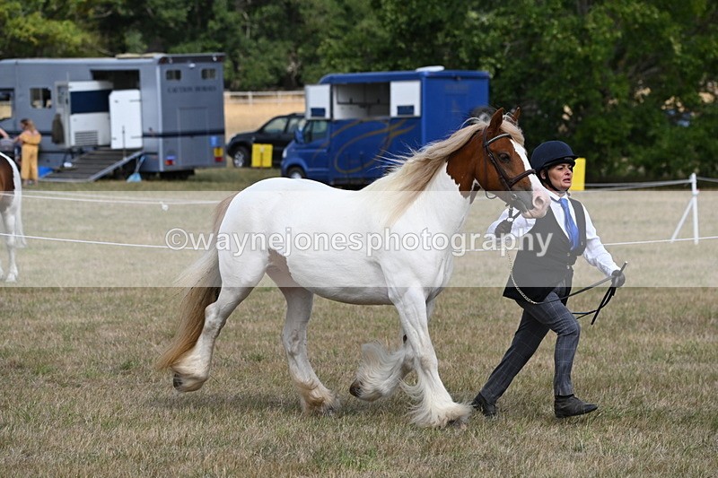 WJ6_6530 - Class 20 In-hand Cob