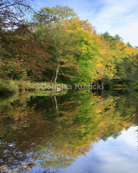 Mirror Image - Fall and Winter