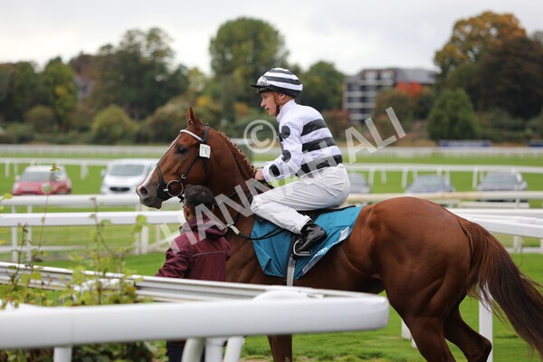 yr07102022r1-9 - Race 1 2.05pm Parsonage Hotel and Cloisters Spa Stakes