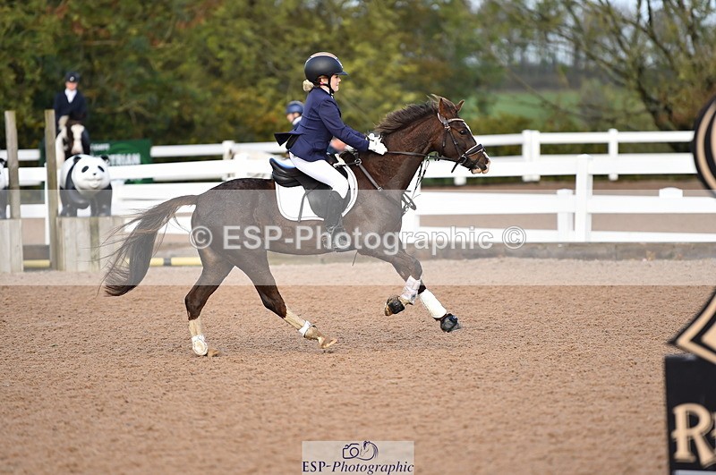 231028A-111112-00724 - Cls 2 British Novice & 80cm Open