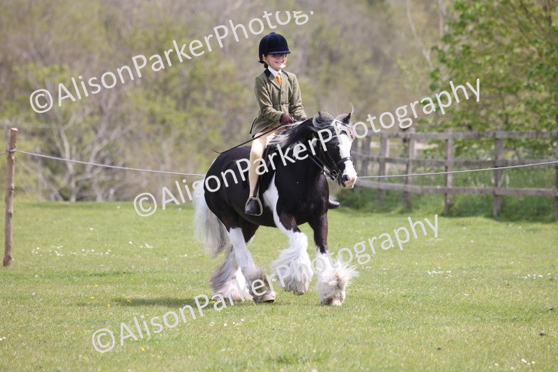 20260426-4042 - Class 33 - Best Pony 14.2hh and Under