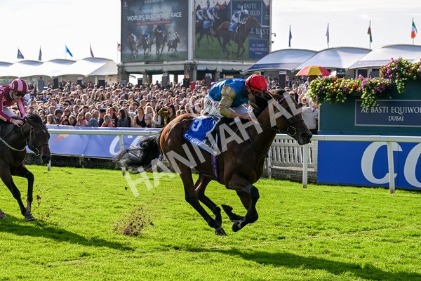 111025-Race 1-Division-0195 - Race 1 Coral Rockingham Stakes at York