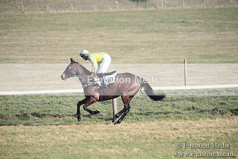 PtP 230219 155 - Vine & Craven Point-To-Point - Barbury 23/02/19