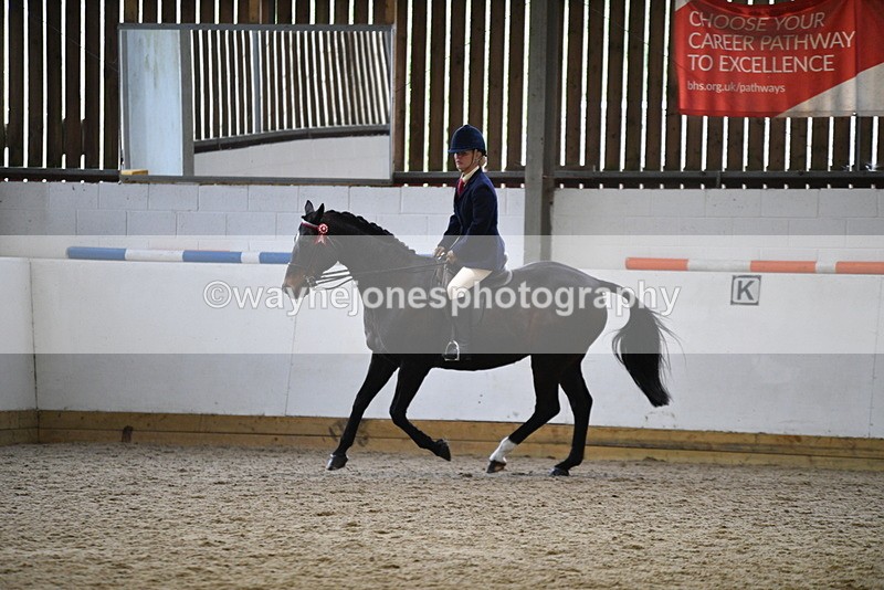 WJ5_7846 - Class 13 Ridden Part Breed
