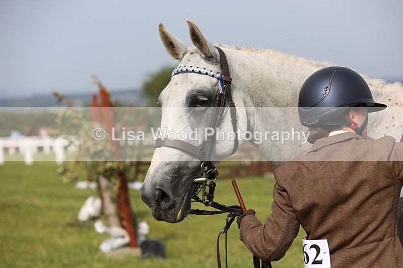JPP_4294 - Class 25: Working Show Horse