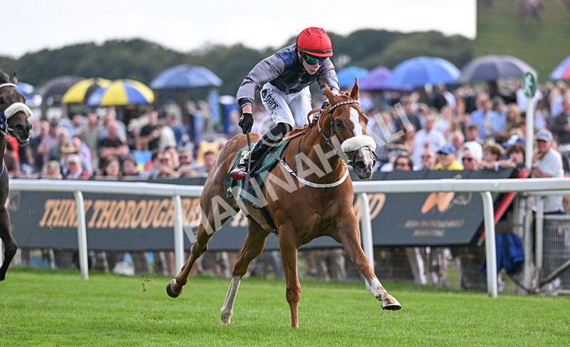 190826-219 Miss Yechance - Race 6 16.45pm Irish Thoroughbred Marketing Handicap