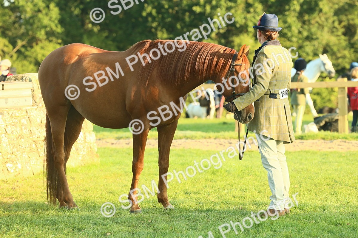 SBM_56609 - S36 - Starters Best Turnout