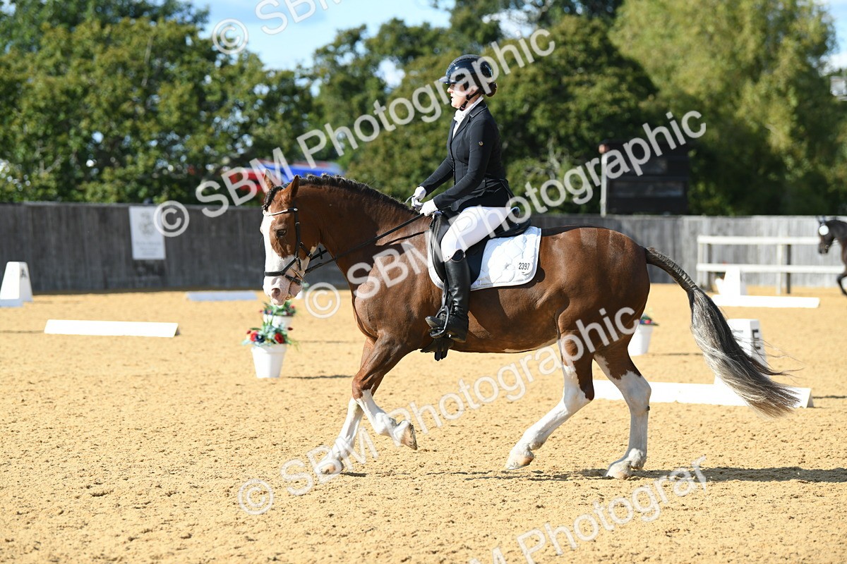 SBM_27121 - D16 - Small Tour Championship - Novice 28