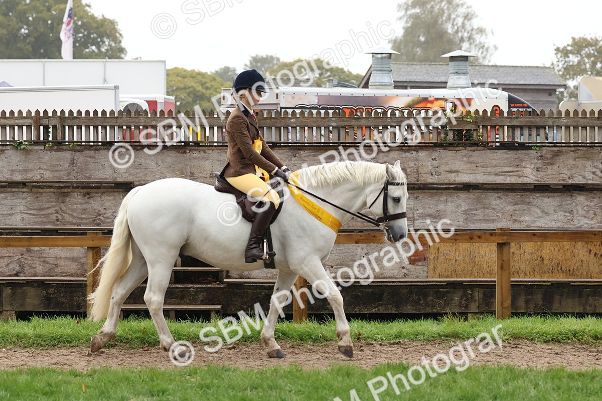 SBM_73090 - Ridden Pony Supreme Championship