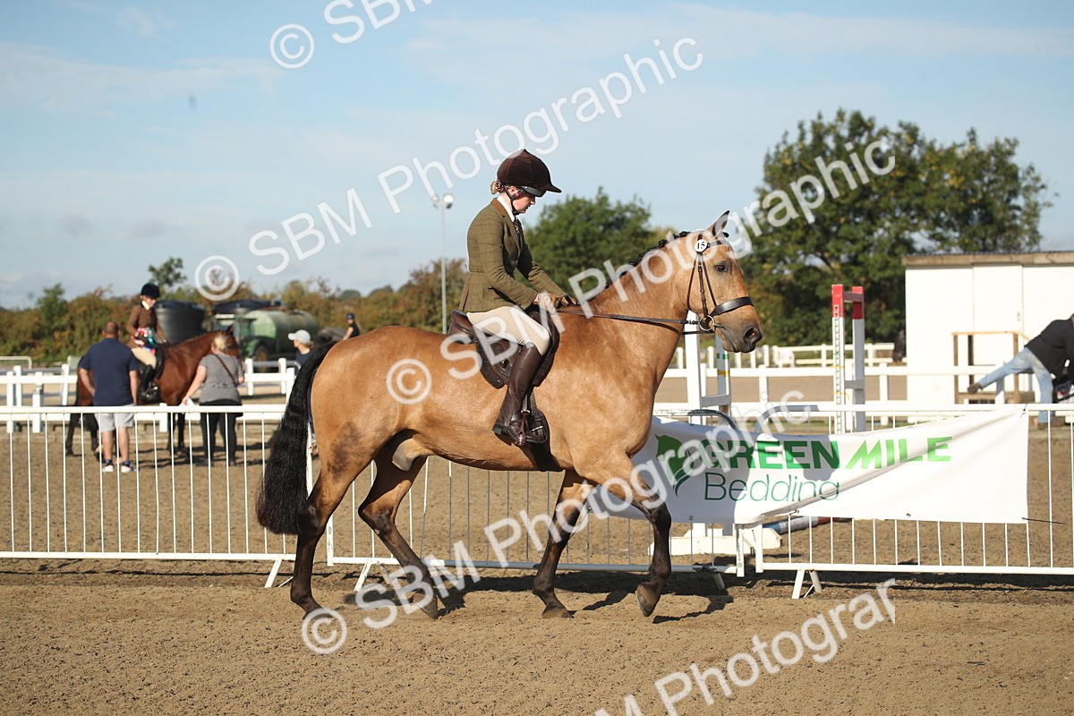 SBM_11274 - Class 501 -Riding Club Pony