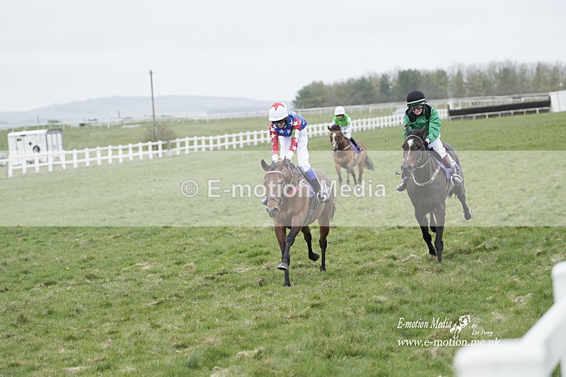 PtP 260323 1110 - New Forest Hounds Point-to-Point Larkhill 26/03/23