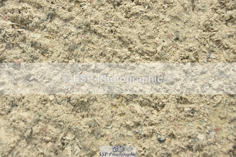 230812-161036-05462 - FEI PSG Bronze Presentations