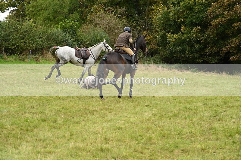 WJ7_4149 - Camera 1 Line 2