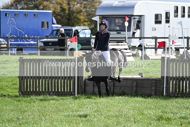 WJ7_8583 - 60cm Pairs