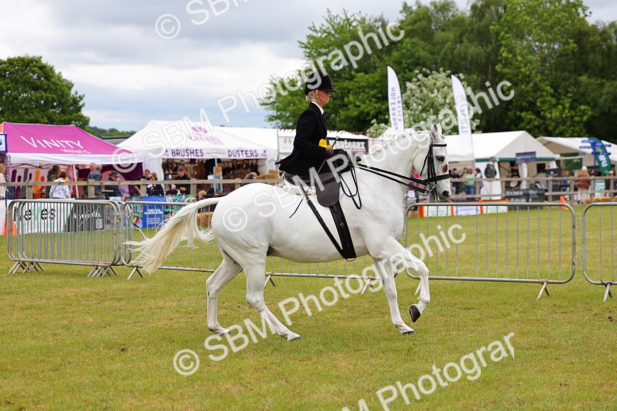 SBM_02983 - Class 9-11 Side Saddle including LIHS Rising Star Ladies Show Horse